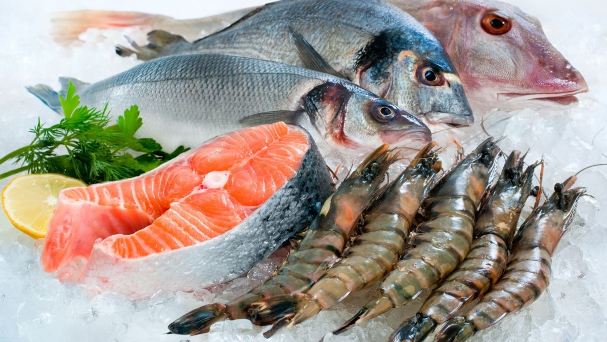 Xử lý hải sản trước khi bảo quản và cách bảo quản hải sản tươi sống