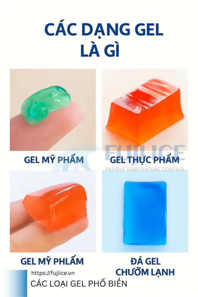 Gel là gì? Mọi Điều Cần Biết Về Dạng gel Và Các Ứng Dụng Phổ Biến 1 Các Loại Gel Phổ Biến