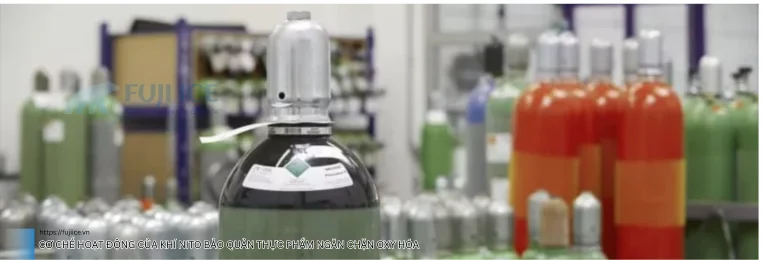 Cơ chế hoạt động của khí nito bảo quản thực phẩm ngăn chặn oxy hóa (1)