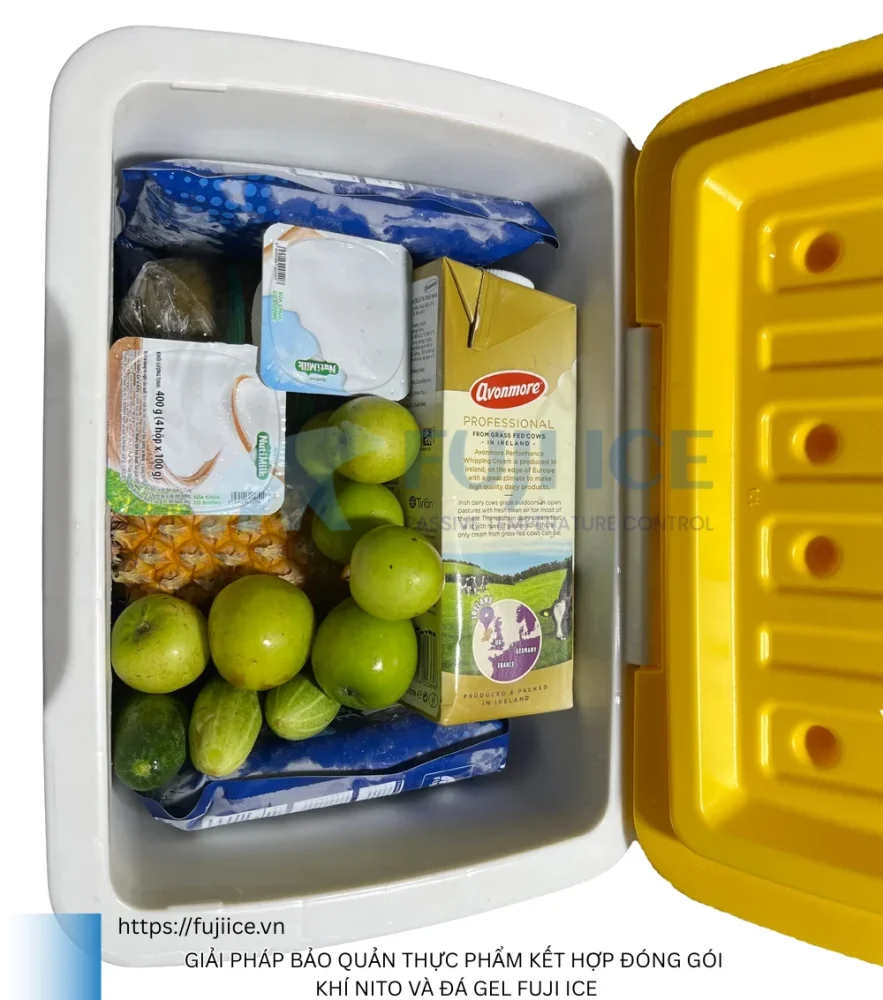 Giải pháp bảo quản thực phẩm kết hợp đóng gói khí nito và đá gel Fuji Ice
