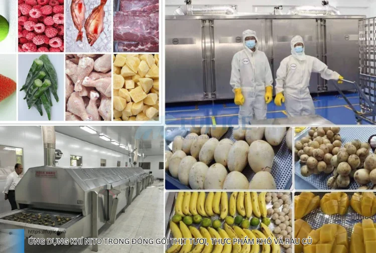 Ứng dụng khí nito trong đóng gói thịt tươi, thực phẩm khô và rau củ