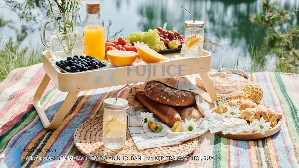 Đi dã ngoại nên mang theo đồ ăn nhẹ nhàng như bánh mỳ kẹp trái cây tươi sữa
