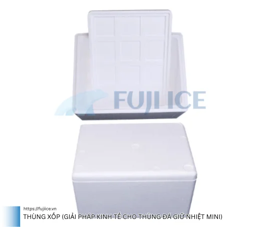 Gợi Ý 8 Mẫu Thùng Giữ Nhiệt Mini Tốt Nhất Cho Mọi Nhu Cầu 8 Thùng Xốp (Giải pháp kinh tế cho thùng đá giữ nhiệt mini)