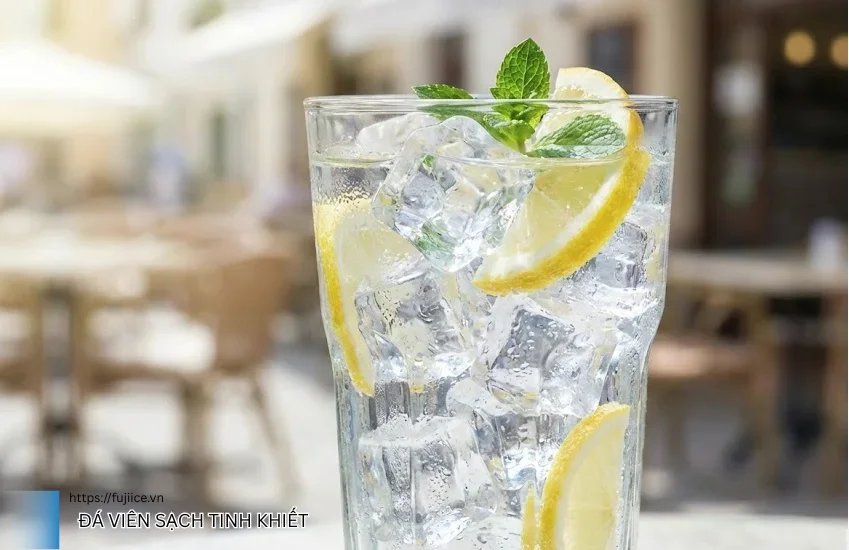 đá viên sạch tinh khiết