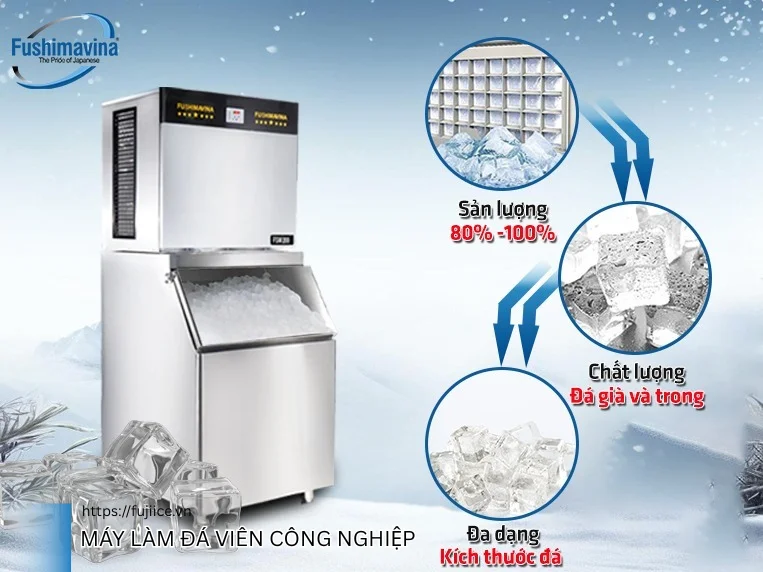 Đá Viên Sạch: Tất Tần Tật Về Tiêu Chuẩn, Giá Cả Và Cách Phân Biệt Túi Đá An Toàn 4 máy làm đá viên công nghiệp