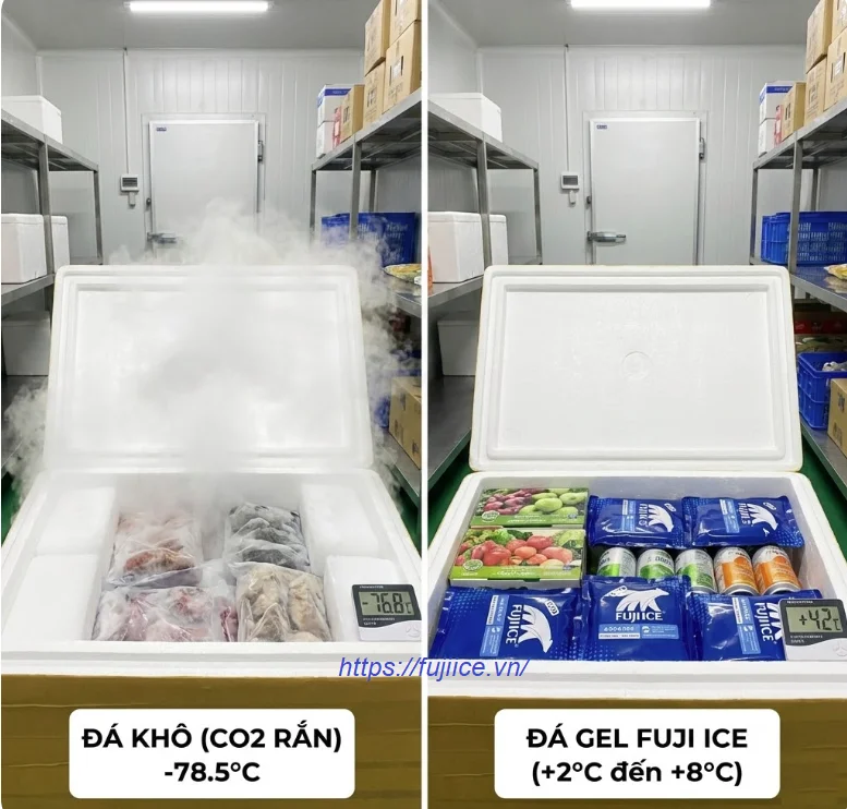 CO2 Rắn (Đá Khô): Tổng Quan Khoa Học Và Ứng Dụng Thực Tiễn Trong Chuỗi Lạnh 2 Fuji Ice cung cấp giải pháp tư vấn nhiệt độ phù hợp cho từng loại hàng hóa
