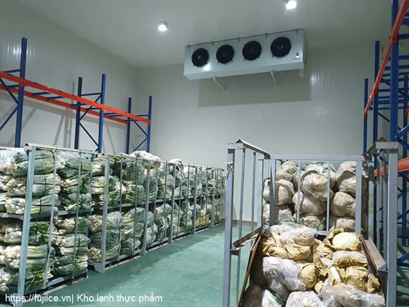 Kho Lạnh Thực Phẩm: Tiêu Chuẩn, Phân Loại Và Giải Pháp Bảo Quản Tối Ưu 1 Kho lạnh bảo quản thực phẩm