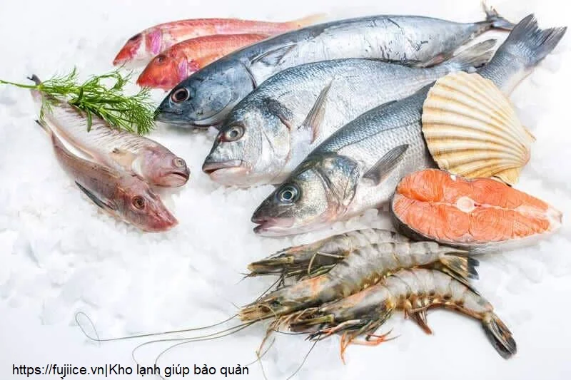 Kho Lạnh Thực Phẩm: Tiêu Chuẩn, Phân Loại Và Giải Pháp Bảo Quản Tối Ưu 2 Kho lạnh giúp bảo quản thực phẩm