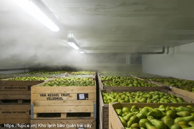 Kho Lạnh Bảo Quản Nông Sản: Tiêu Chuẩn Phân Loại Và Giải Pháp Toàn Diện 4 kho lạnh bảo quản trái cây