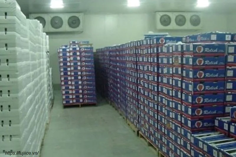 Kho Lạnh Bảo Quản Kem: Tiêu Chuẩn Thiết Kế & Giải Pháp Tối Ưu Chuỗi Lạnh 1 Kho lạnh bảo quản kem