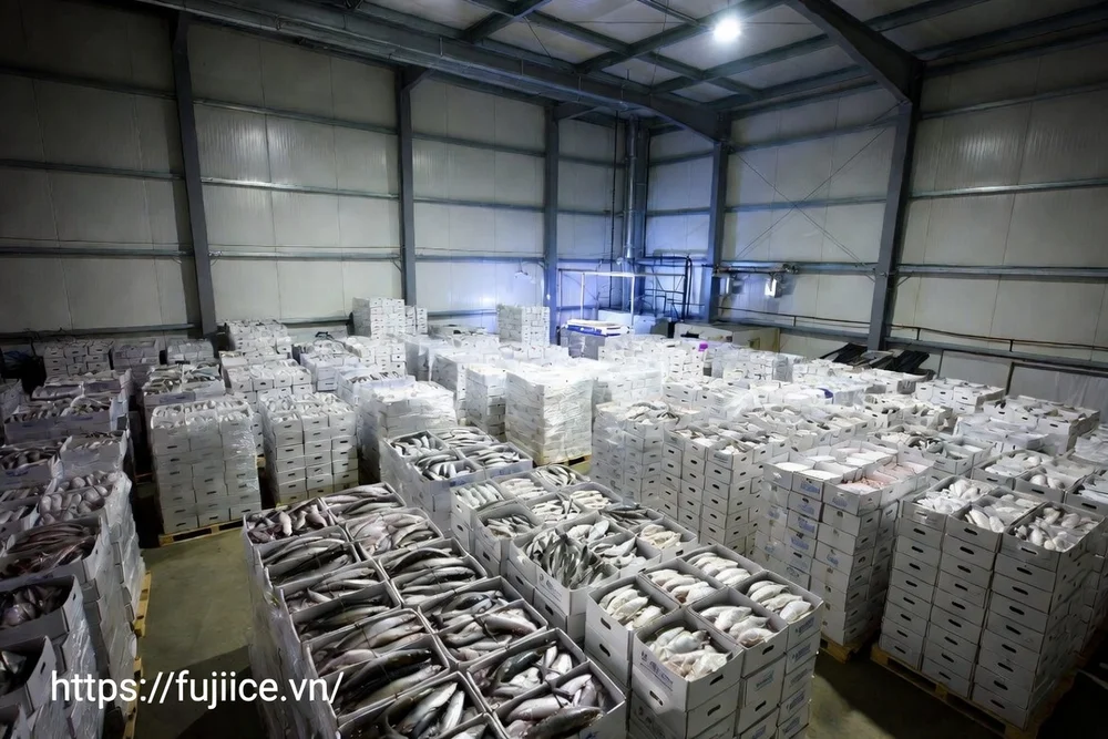 Kho Lạnh Bảo Quản Cá: Tiêu Chuẩn & Giải Pháp Chuỗi Lạnh Toàn Diện 1 bên trong một kho đông lạnh thủy sản quy mô lớn với các kiện hàng cá được xếp ngay ngắn trên pallet
