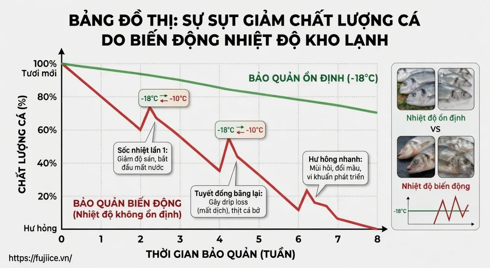 Kho Lạnh Bảo Quản Cá: Tiêu Chuẩn & Giải Pháp Chuỗi Lạnh Toàn Diện 2 đồ thị minh họa sự sụt giảm chất lượng của cá khi nhiệt độ kho lạnh bị dao động