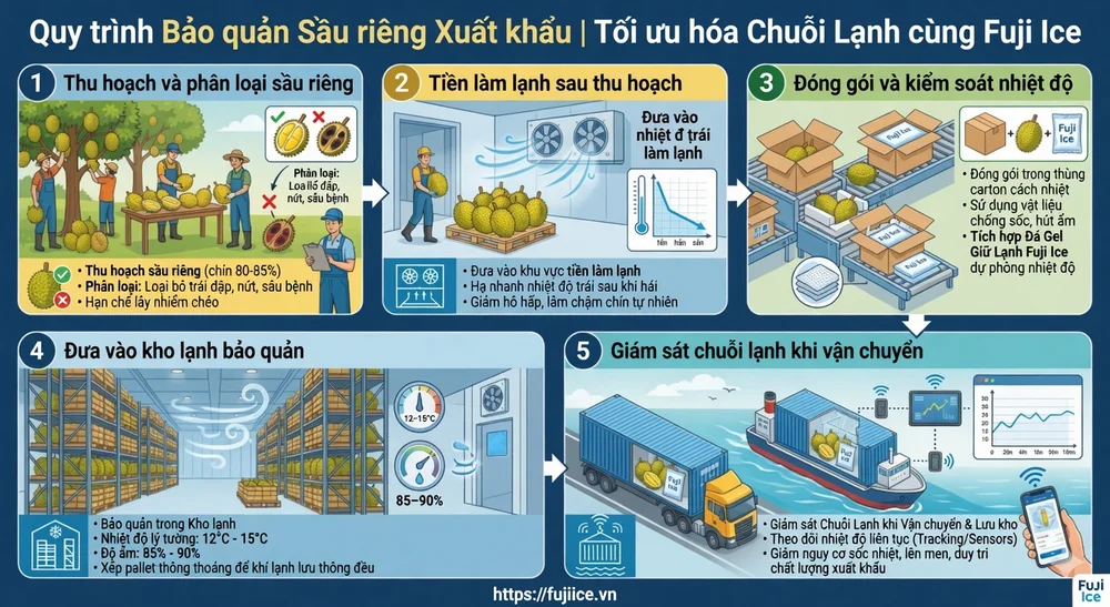 Tiêu Chuẩn Thiết Kế Và Vận Hành Kho Lạnh Bảo Quản Sầu Riêng (Toàn Diện) 3 Các bước bảo quản sầu riêng trong kho lạnh từ thu hoạch đến xuất khẩu