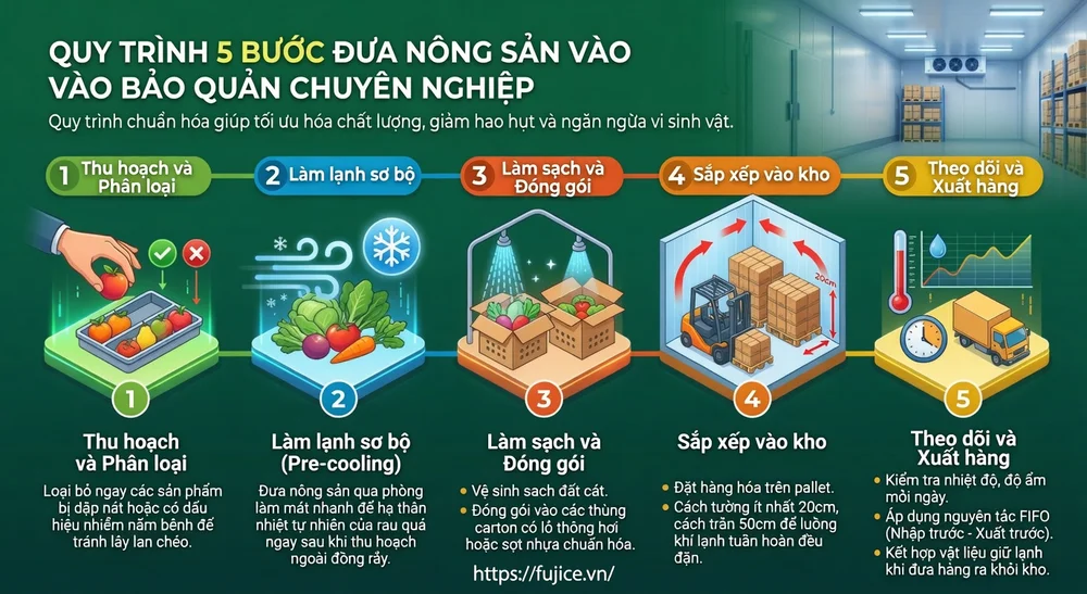 Kho Lạnh Bảo Quản Rau Quả: Tiêu Chuẩn Kỹ Thuật Và Giải Pháp Toàn Diện 4 Quy trình 5 bước đưa nông sản vào bảo quản chuyên nghiệp