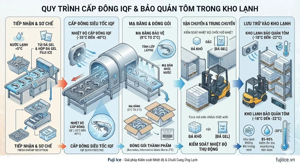 Tiêu Chuẩn Kho Lạnh Bảo Quản Tôm: Giải Pháp Tối Ưu Từ Chuyên Gia Chuỗi Lạnh 2 Quy trình cấp đông tôm trong kho lạnh