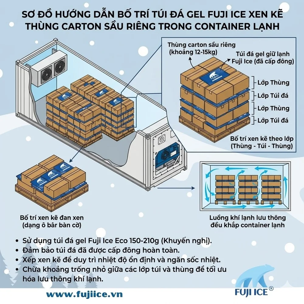Tiêu Chuẩn Thiết Kế Và Vận Hành Kho Lạnh Bảo Quản Sầu Riêng (Toàn Diện) 4 Sơ đồ hướng dẫn cách bố trí túi đá gel Fuji Ice đan xen cùng các thùng carton sầu riêng bên trong container lạnh