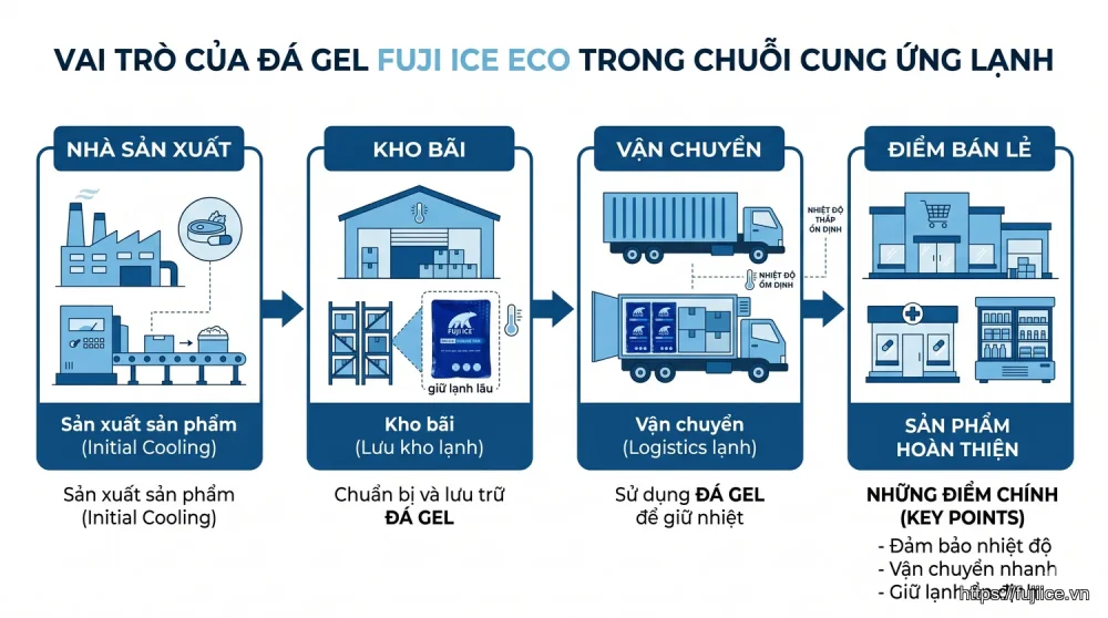Sơ đồ infographic vai trò của đá gel trong các giai đoạn của chuỗi cung ứng lạnh.